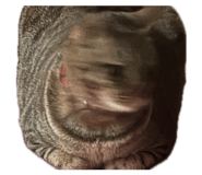 843585507