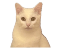 843585509