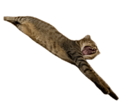 843585512