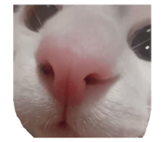 843585524