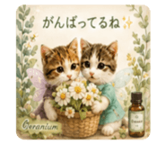 843585539