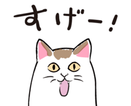 843585713