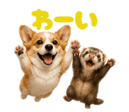 843585908