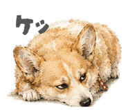 843585915