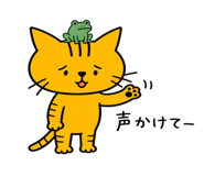 843586555