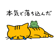 843586557