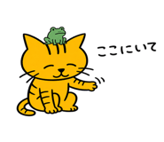 843586575