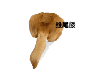 843586950