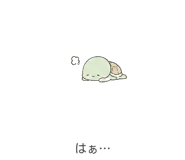 843587071