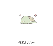 843587082