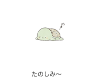 843587083