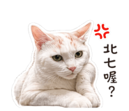 843587458