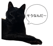 843587710