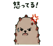 843588561
