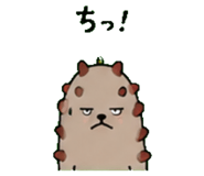 843588565