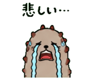 843588569