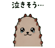 843588575