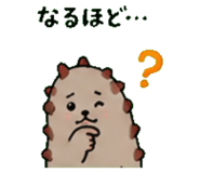 843588581