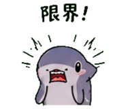 843588664