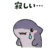 843588666