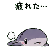843588670