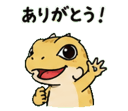 843589049