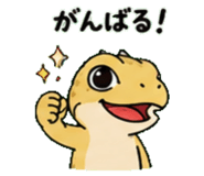 843589055