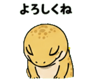 843589056