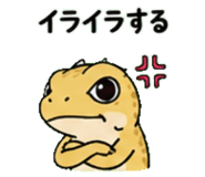 843589059
