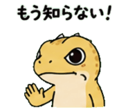 843589061