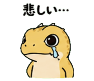 843589062