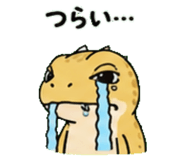843589063