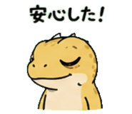 843589066