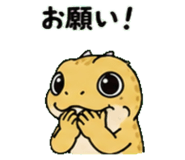 843589075