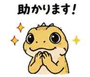 843589076