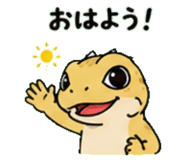 843589081