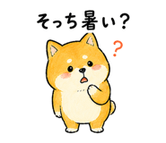 843589977