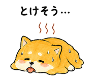 843589978