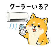 843589980