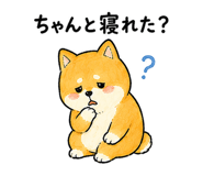 843589994