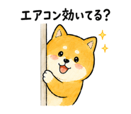 843589998