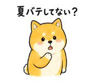 843589999