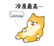843590002