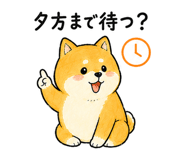 843590003