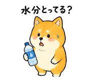 843590005