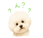 843590165
