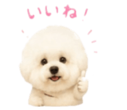 843590168