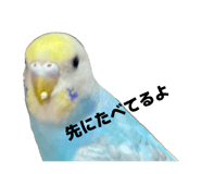 843590169