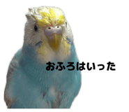 843590173