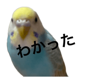 843590174